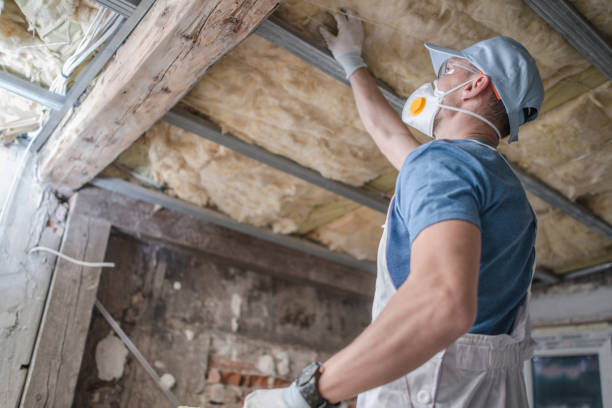Best Insulation Maintenance and Repair in Trenton, NJ